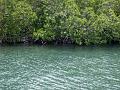 2003-04 martinique 116